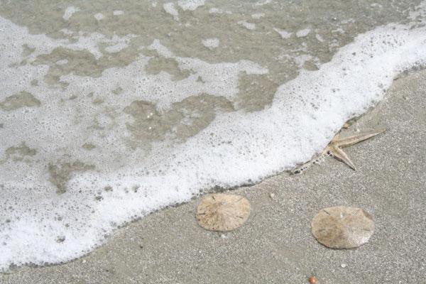 Kingston Cove 1 Villa Hilton Head Island Ngoại thất bức ảnh